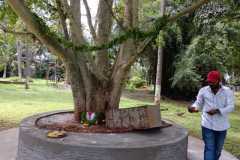 WhatsApp-Image-2025-10-05-at-10.31.45-AM-2