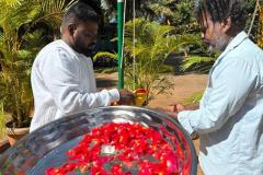 WhatsApp-Image-2025-11-05-at-10.54.01-AM-4