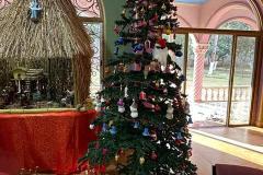 WhatsApp-Image-2025-12-25-at-12.32.17-AM